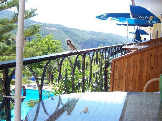 Bella Vista Hotel And Apartments Πάργα Εξωτερικό φωτογραφία